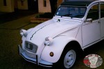 2cv Perrier_1989_AL_site