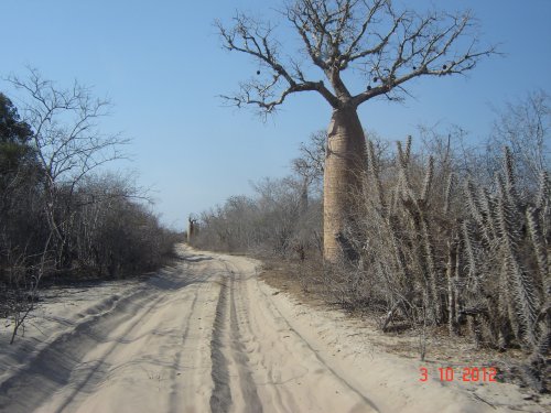 dsc00459