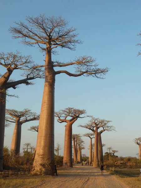 p1020650