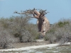 p1020566