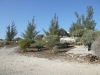 p1080437